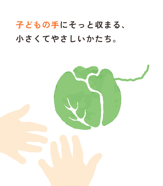 子どもの手にそっと収まる、小さくてやさしいかたち。
